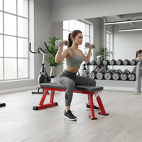 Banc de musculation professionnel robuste, avec coussin épais en PU, design plat fixe, pour musculation et levage de poids.