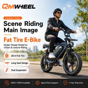 Bicicleta Eléctrica de Montaña QMWHEEL V20 Limited, 48V, Neumáticos Anchos, 7 Velocidades, Frenos Hidráulicos, Distribuidor Mayorista, Suministro OEM ODM B2 - Product Image 1