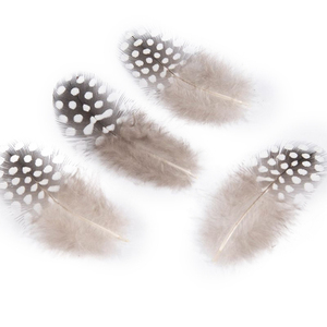 Vente en gros de plumes de faisan et de guinée, motif brut, gros points, produit agréable et plumeux avec échantillon gratuit - Product Image 1