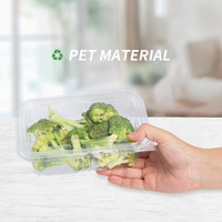 Boîtes transparentes congelées en plastique de stockage de rectangle couvercles de trou articulés conteneurs d'emballage de fruits de fraise de pastèque