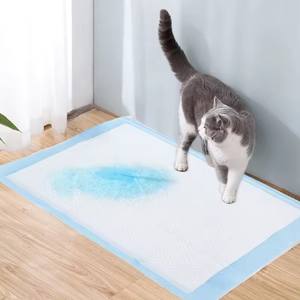 SY2025 Pet Training <strong>Pad</strong> Diaper <strong>Dog</strong> <strong>Pee</strong> <strong>Pad</strong> Thickened Bamboo Charcoal Back Glue Water Absorption Deodorization - Product Image 5