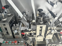 Medizinische Klebepflaster-Stanzmaschine für die Herstellung von IV-Kanülen, Wundauflagen und Infusionspflastern