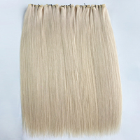 Haiyihair – Cheveux naturels Genius Weft couleur claire, vente en gros, best-seller # Prix d'usine 60B pour usage en salon