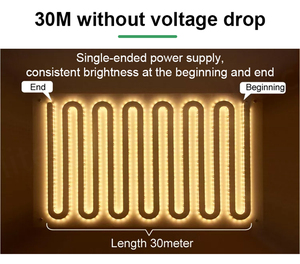 Tira de LED de Corriente Constante con Luz Blanca Ajustable, 120D, Larga, 2835, 90 LED, 120 LED, CCT, 60 LED, 5050, RGB, RGBW, Tiras LED de Corriente Constante - Product Image 2