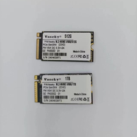 Produk baru m2 PCIE 3.0 hard disk 128GB 256GB 512GB 1TB m.2 2242 pcie3 nvme SSD untuk klip Video