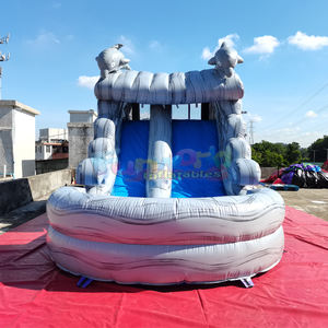 Equipo de Juegos Infantiles para Exteriores, Tobogán Acuático Inflable con Diseño de Delfín en Mármol Gris - Product Image 3