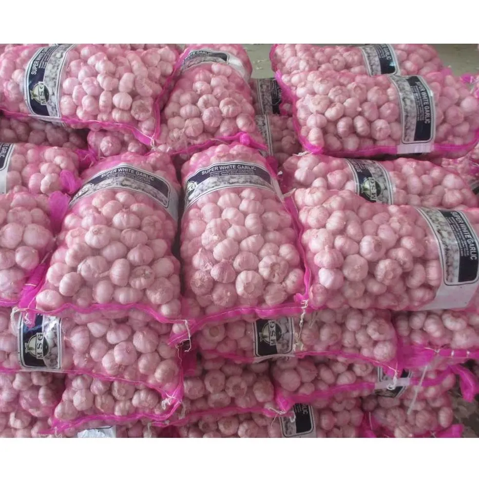 Fresh garlic Chinese new crop 2022 supply as garlic normal white and pure white alho ajo from wholesale garlic manufacturer