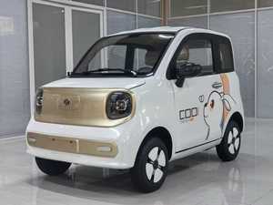 Minicoches Eléctricos de Cuatro Puertas y 4 Plazas Sin Licencia, 1000w 3000w, Baja Velocidad 45Km/h, Mini EV Eléctrico Cerrado con Caja de Cambios S para Adultos - Product Image 5