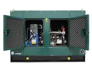 20kw 50kw To 300kw 150kva 200kva Silent Biogas LNG CNG Electric Natural Gas Generator Set With Cummins