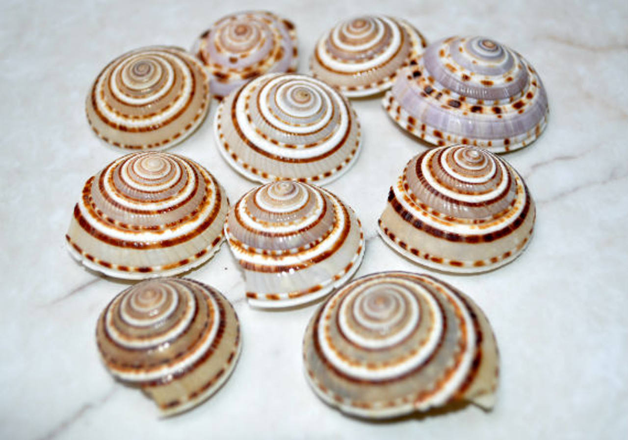 ธรรมชาติ