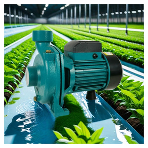 CGO Irrigation Cast Iron Surface High Centrifugal Booster <b>Water</b> <b>Pump</b> OEM 4DK-750 Centrifugal <b>Water</b> Usage <b>Pump</b> - Product Image 3
