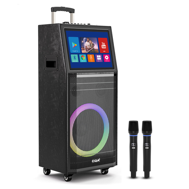 CQA 10''inch Woofer Speaker 100W Powerful with Touch Screen for Lyrics Display,Trolley Bluetooth Speaker with KTV/Wifi/Mics