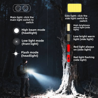 Lampe de travail portable multifonctionnelle EDC avec torche de poche rechargeable magnétique de type C pour le camping, les réparations d'urgence