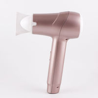 Sèche-cheveux à faible bruit, puissant, professionnel, salon, maison, fabricant, brosse personnalisée, sans fil, rechargeable à grande vitesse, support en une étape