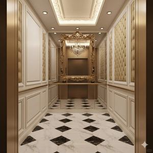 Ascenseur commercial pour 10 personnes, design moderne à entraînement AC, ascenseurs pour passagers d'occasion à prix compétitif - Product Image 2