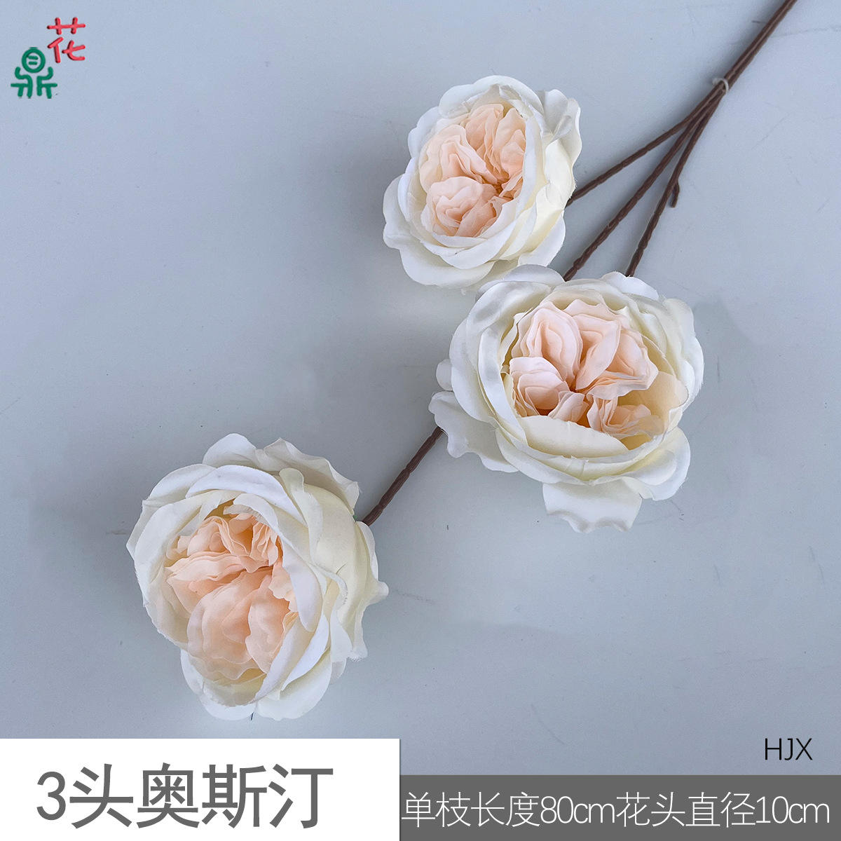 3 Heads ออสติน hjx สีแชมเปญ