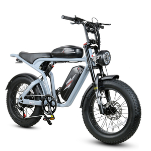 Bicicleta Eléctrica Híbrida M20-II 48V con Cuadro de Acero de Alto Carbono de 20 Pulgadas y Neumáticos Anchos, Disponible en Almacenes de la UE y EE. UU. - Product Image 2