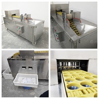 Industriële & tafelmodel kersenontpitter, fruitontpitter voor kersen, longan & wilde vruchten.