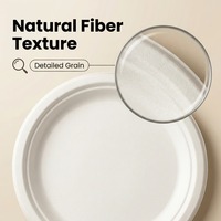 Assiettes jetables biodégradables en bagasse de canne à sucre de 6 pouces – Écologiques, robustes, sans bois, sûres et compostables – Vaisselle en bagasse liquide