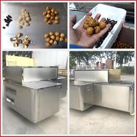 Longan-ontpittermachine, abrikozen-ontpitter, ontpitter, zaadverwijderaar, automatische kersenontpitter, lychee-ontpittermachine