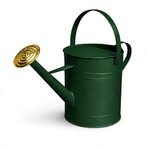 Dark Green Galvanized Heavy Duty Iron Watering Can for Outdoor Garden <b>Plant</b> Use 2 gallon Water can Farmhouse Style Watering Can - Product Image 1