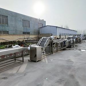 Prix bas et haute efficacité frites de maïs frites Snack ligne de production frites frites frites frites friture Machine - Product Image 4