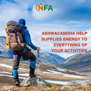 Cápsulas de Ashwagandha OEM ODM con Cúrcuma y Curcumina, Aumentan la Energía y la Respuesta al Estrés, Vitaminas - Product Image 6