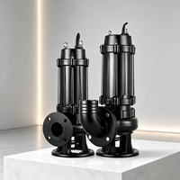 WQ SS304 Tauchmotor-Abwasserpumpe 5 PS 50m/164ft Förderhöhe DN50 Flansch OEM Abwasser-Entwässerungspumpe 3-Phasen Energieeffizient Hochleistung