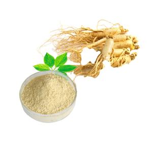 Растительные экстракты гинсенозиды/экстракт корня женьшеня Panaxosides по оптовой цене - Product Image 1