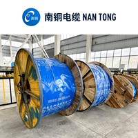 Cable de Alimentación Blindado de Alta Resistencia 1.8/3kV VV22 para Proyectos de Construcción Petrolera, Química e Industrial