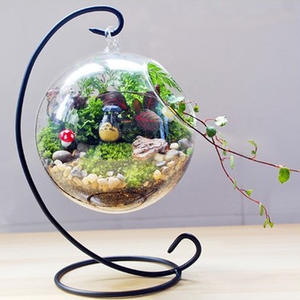 Planta suculenta de musgo Circular Micro paisaje decorativo colgante ecológico florero de vidrio transparente macetas maceta - Product Image 4