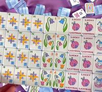 Tuiles de Mahjong Jester Joker Coccinelle Mignonne Peintes à la Main en Acrylique, Ensemble Américain Personnalisé OEM