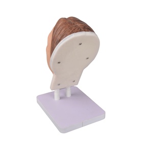 Thực Hành mannequin Silicone khuôn mặt mô hình Nữ manikin đầu cho thẩm mỹ khuôn mặt tiêm đào tạo giảng dạy - Product Image 4