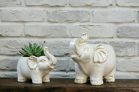 Nouvelle conception moderne de décoration d'intérieur, pot de fleurs en céramique en forme d'éléphant, porcelaine blanche émaillée, rétro, pour plantes succulentes