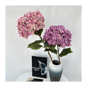 <span class=keywords><strong>Hortensia</strong></span> Artificial realista <span class=keywords><strong>de</strong></span> 240 piezas, <span class=keywords><strong>Hortensia</strong></span> con plantas <span class=keywords><strong>de</strong></span> frijol para decoración del hogar, entrega rápida, <span class=keywords><strong>precio</strong></span> <span class=keywords><strong>de</strong></span> fábrica - Product Image 2