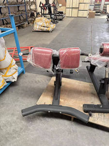 Nouvelle Banc Romaine Nouvelle Arrivée Utilisation Commerciale en Salle de Sport Équipement de Musculation L8049 Banc Romaine pour Utilisation en Salle de Sport - Product Image 5