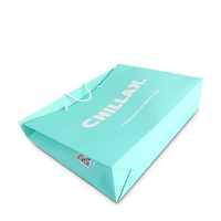 Bolsas de papel de Tarjeta blanca con logotipo personalizado verde reciclado de lujo para embalaje de zapatos
