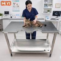 Table d'échographie vétérinaire en acier inoxydable 304 avec base lestée et coins arrondis pour chats/lapins/chiens – Vente directe usine OEM/ODM