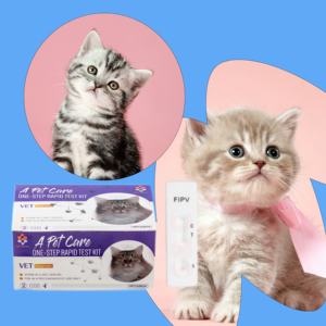 Factory Outlet Uso Doméstico Feline Canine <span class=keywords><strong>Salmonella</strong></span> Antigen Kit Teste Rápido para Cães e Gatos - Product Image 1