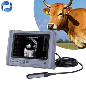 Raytan Draagbare 8-inch LCD Touchscreen Handheld Echografie-apparaat voor Huisdieren, Vee en Hoogwaardige Veterinaire Diagnostische Apparatuur - Product Image 3