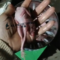 25 #   Plumeuse électrique étanche pour cailles |   Épluche-plumes portable pour petits gibiers pour les États-Unis/le Canada |   Utilisation à la ferme et pour la chasse