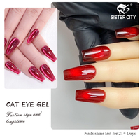 Vernis à ongles gel UV magnétique effet œil de chat français – Bouteille écologique, pour salon et usage domestique, longue tenue, non toxique