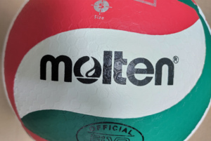 Nhật Bản bãi biển trong nhà bán chuyên nghiệp ban đầu một màu quá khổ kích thước lớn 7 màu xám bạc bóng chuyền - Product Image 3