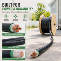 Câble d'alimentation ignifuge CU/XLPE/PVC 0,6/1 kV pour système de distribution d'énergie en salle blanche d'usine d'écrans LCD