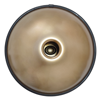 Raysen Pro Series 12 Notes Handpan Hard Case Handpan 12 Nota Profesional Handpan-drum