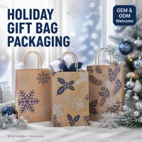 Sacs cadeaux en kraft personnalisés OEM ODM en gros, sacs de courses de Noël et de fêtes, lot de 24 assortis, emballage cadeau festif ISO 9001