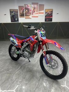 Xinguizun Ji Dao Zhe - 1R <span class=keywords><strong>250</strong></span> - Motocicleta Todoterreno de Gasolina de Segunda Mano - Acabado de Pintura Original - Garantía de Calidad - Product Image 4