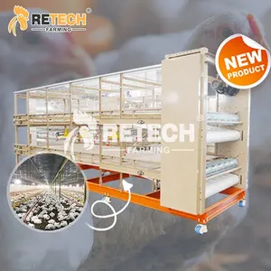 New-Style 2 Tiers Automatic Chain-Type Harvesting System Poultry Farm Equipment H Type Broiler Chicken Cage