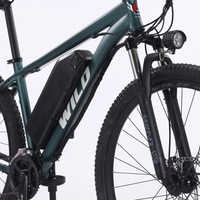 Sepeda Listrik Gunung Tanpa Sikat Baterai Lithium Grosir Produsen 48V 350W Sepeda Off-road Dewasa Kecepatan Variabel