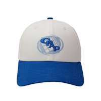 Topi Baseball Kanvas 6 Panel OEM Classic Unisex Putih Biru Gambar Bordir 3D Berkualitas Tinggi Model Snapback